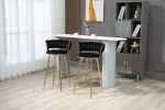 COOLMORE Bar Stools with Back and Footrest Counter Height Bar Chairs